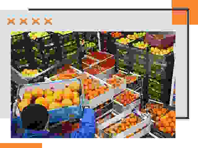 Перевозка скоропортящихся продуктов в Краснокамске